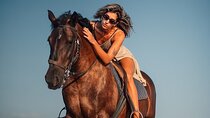 1-Hour Horse Ride Through the Desert – Sharm El Sheikh