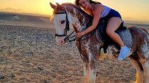 2-Hours Horse Ride Through the Desert – Sharm El Sheikh
