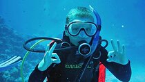 Scuba Diving Intro for Beginners with Lunch & Transfers - Somabay