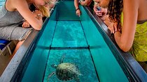 Glass Boat Ride 1 Hour with Transportation – Sharm El Sheikh
