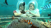 Bali Sea Walker under Water experience Watersport 