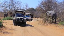 Full Day Chobe Trip