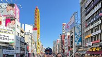 Guided Tour of kyoto
