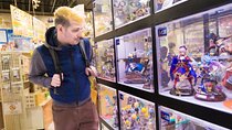 Exploring Akihabara Including Go-Kart Experience