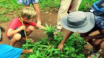 Spice farm, Prison Island and Nakupenda in Zanzibar
