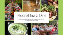 Mexican Moonshine & Flavorful Tacos in the jungle