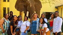 Nairobi Museum, Elephant Orphanage, Giraffe Centre & Gift Shop
