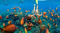 (ALL- IN) Bali Snorkeling Blue Lagoon And Tanjung Jepun