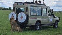8-Days Western Serengeti Mysterious Adventures All Inclusive.