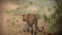Private Multi Day Sri Lanka Tour with Chauffeur