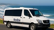  Shared Dunedin City & Otago Peninsula Scenery Day Tour up to 10