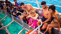 Glass Boat and Water Skiing with Transfer - Sharm El Sheikh