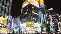  Private Tokyo, Fully Customized — Your Day, Your Pace