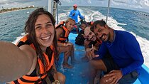 Top Snorkeling Experience in Puerto Morelos Reef