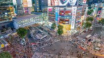 Tokyo: Shibuya Walking Tour with Skyline City Night Views