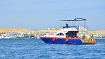 Full Day Private Boat Trip Dolphin House, Snorkeling - Hurghada