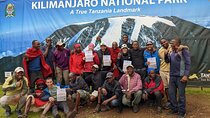 Moshi: Kilimanjaro Day Hike Marangu Gate to Mandara Hut