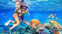 Private Blue Lagoon Snorkeling Lunch All Inclusive