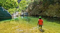Paradise Valley Excursion