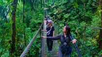 Combo Arenal: Suspension Bridges + Thermal Spa + Fortune Falls