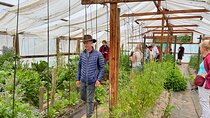 A Day in the Countryside: Family Farm & Spa Experience