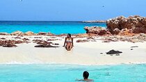 Daymaniyat Islands Snorkeling Tour – Swim with Turtles & Kayaking