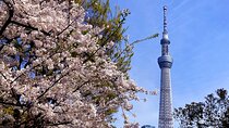 Unlock Hidden Tokyo: Private Custom Tour with a Local driver