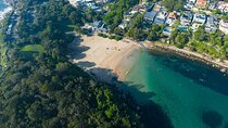 Small Group Manly Snorkel Tour and Nature Walk with Local Guide