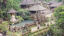 Ubud Tour Waterfall Rice Terrace Temple and Art Village