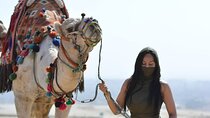 Giza Pyramids,Sphinx, the Cheapest price Because the Company New