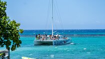Ocho Rios Gourmet Jamaican Food and Private Beach Experience