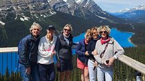 Icefields Pkwy: Lake Louise | Bow | Peyto|Glacier - PRIVATE TOUR