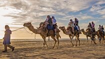 Camel Ride and UTV Adventure with Tequila Lunch in Baja