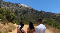 The Real 3 hour VIP Tour with Stops and Photos 
