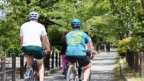 Kyoto E-Bike Tour of Hidden Gems, Backstreets and Temples