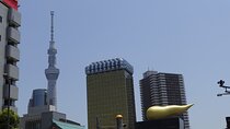 Personalized 6 Hour Private Tour of Tokyo's Highlights
