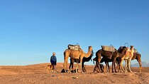 Private Agafay Desert Trip with Camel ride Tour.