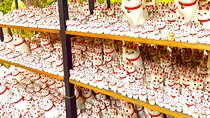 Tokyo: Gotokuji Cat Temple, Shinjuku Cat Cafe and 3D Cat Tour 