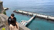 Pompeii & Sorrento Private Tour with Guide and Driver from Naples