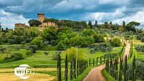 Half Day Escape to Chianti: Taste the Heart of Tuscany