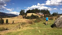 Trail Run the Hills of Cusco Ruins Views and Market Finish