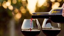  Brunello Uncorked: Discover Tuscany’s Iconic Red
