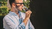 Porto: Taylor's Wine Cellar and Wine Experience