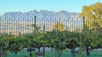Barcelona Montserrat & Optional Winery Tour with Wine Tasting