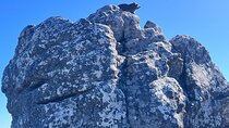 Table Mountain Half-Day Tour – Cable Car Ticket & Transfers