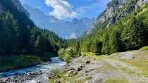 Alpine Food Tour Swiss delicacies with a view