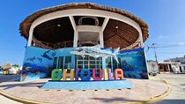 Private Transfer to Chiquila one-wey, from Cancún and Playa