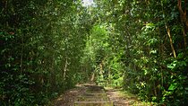 Private East Maui Hiking Experience