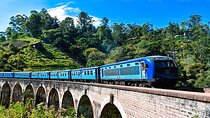 3 Days Private Tour of Yala Safari/ Ella/ Kandy - All Inclusive