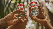 2 Hour Tequila Tasting Diego Riviera